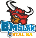 You are currently viewing ORLEN AKADEMIA BM STAL OSTRÓW WLKP.